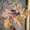 Гейхера Хэппи Отэм (Happy Autumn)